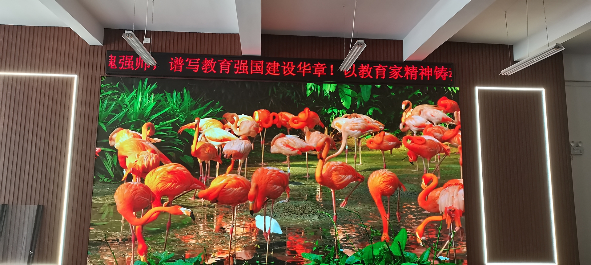 专业高效，视界不凡-昆明某学校全彩高清显示屏装配(图2)